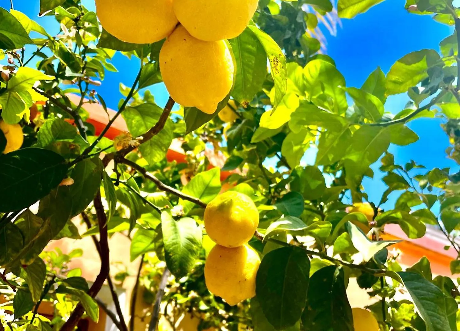 הוילה Casa Klod Ibiza 0*, איביזה העיר ספרד